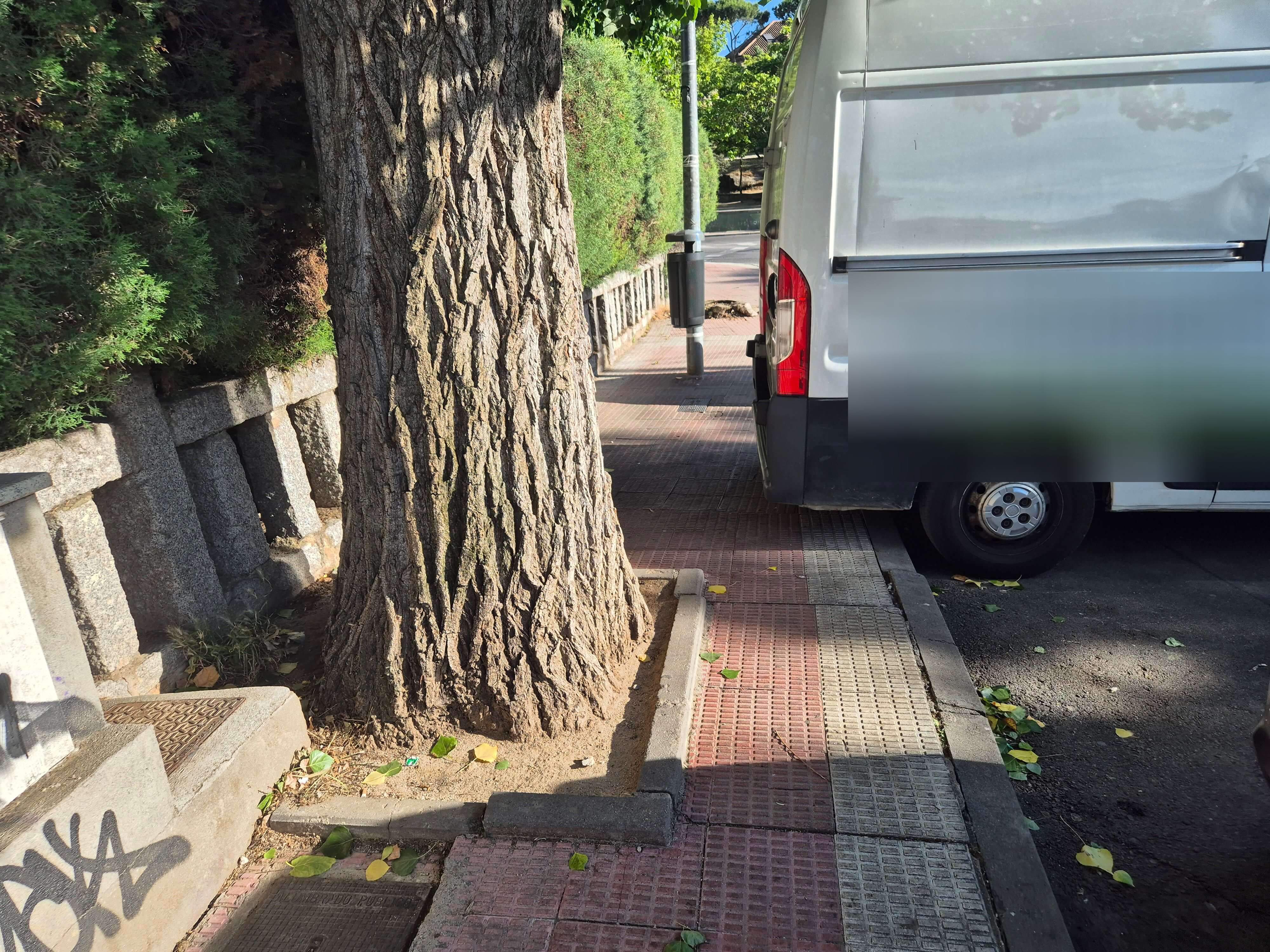 Árbol y furgoneta bloqueando el paso