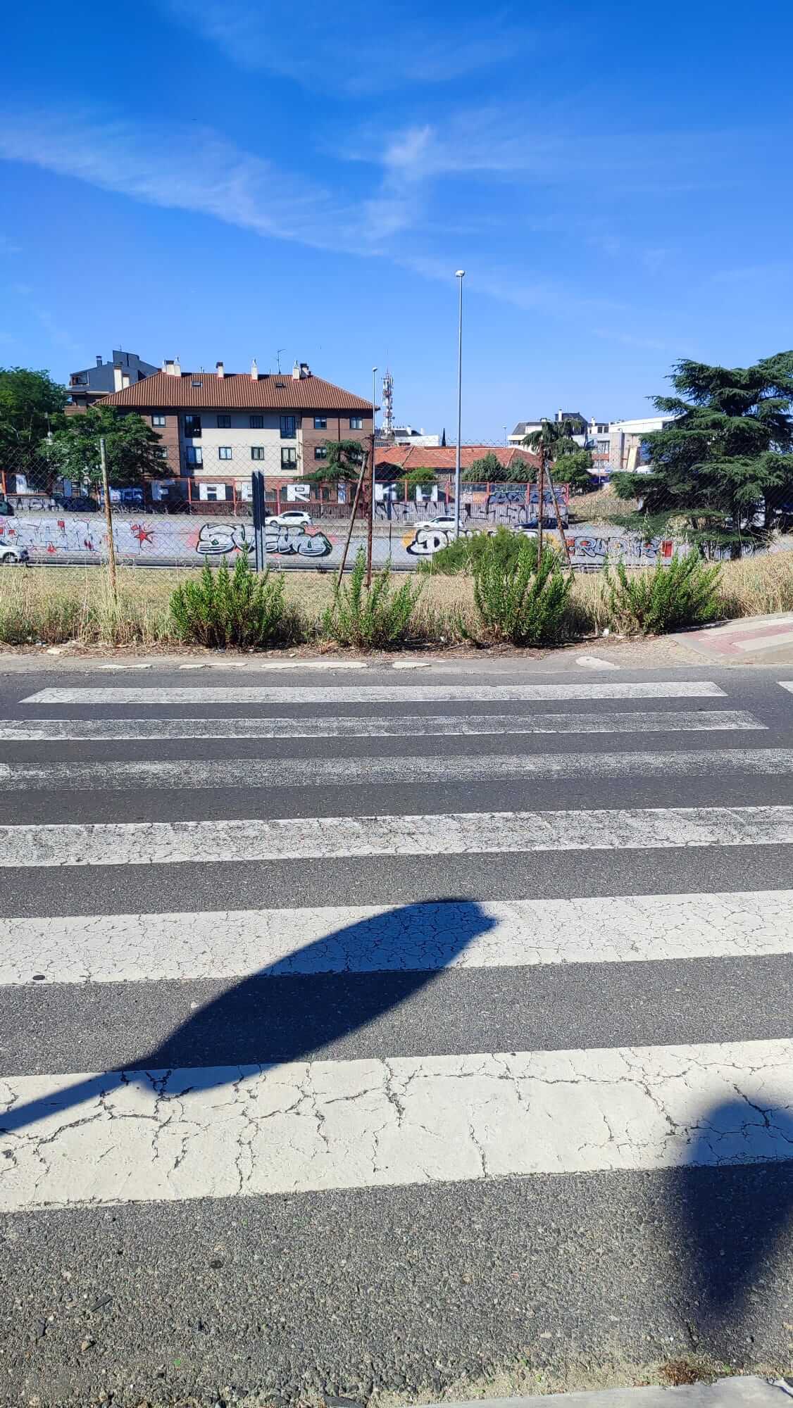 Detalle de paso de cebra y donde acaba